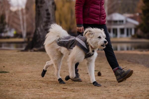 Ruffwear Lumenglow Hi Viz Jacket Granite Gray Gr. XXS Ruffwear Lumenglow Hi Viz Jacket Granite Gray Gr. XXS